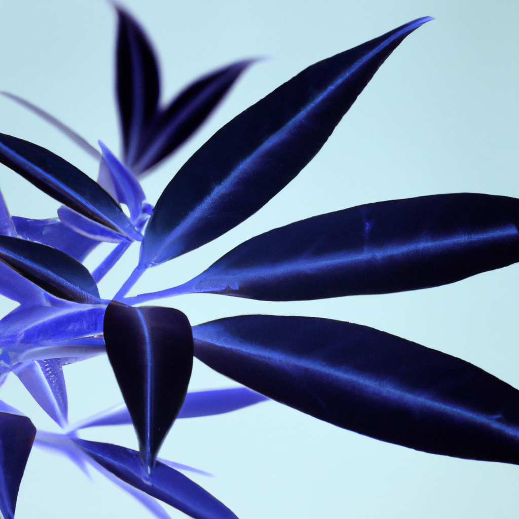 Beneficios de una gestión centralizada de sitios web para franquicias.