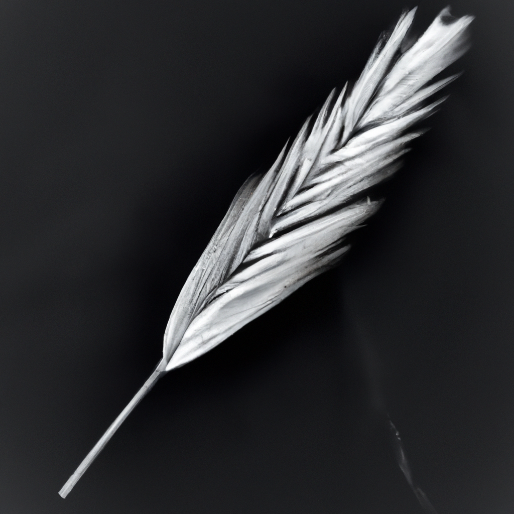 Cómo el análisis de datos puede transformar tu cadena de franquicias.